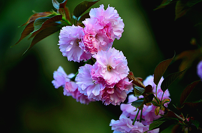 照片 088_副本.jpg