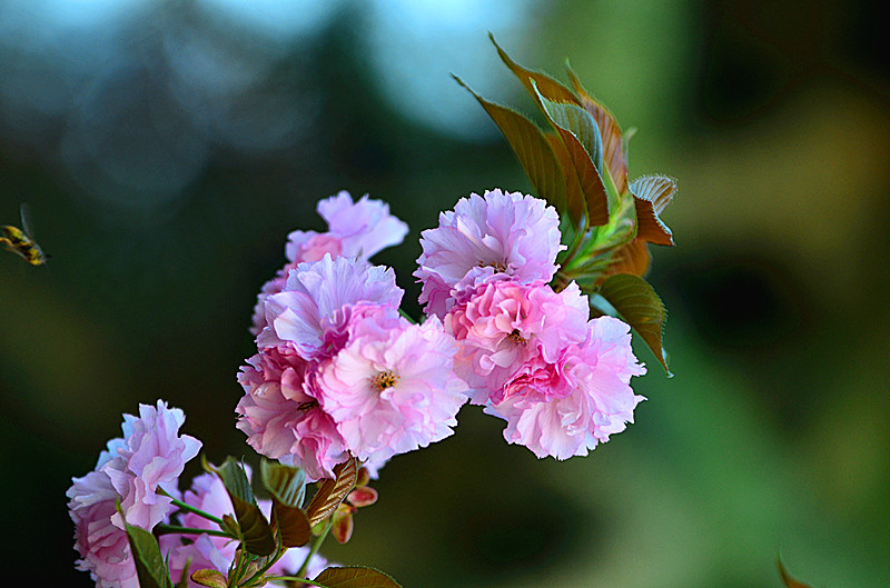 照片 090_副本.jpg