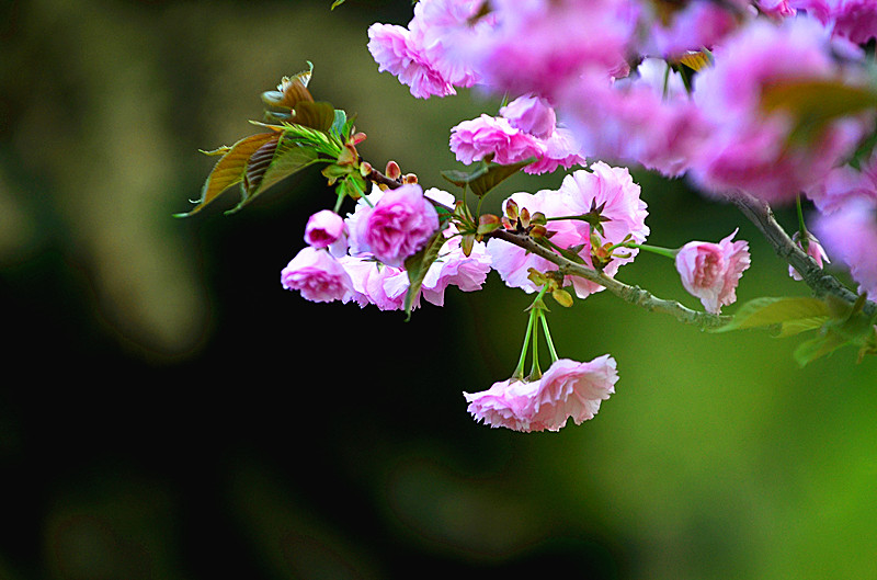 照片 095_副本.jpg