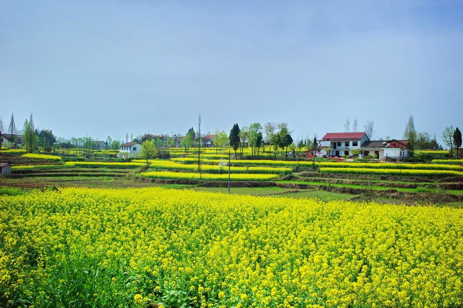L1005042_调整大小.jpg