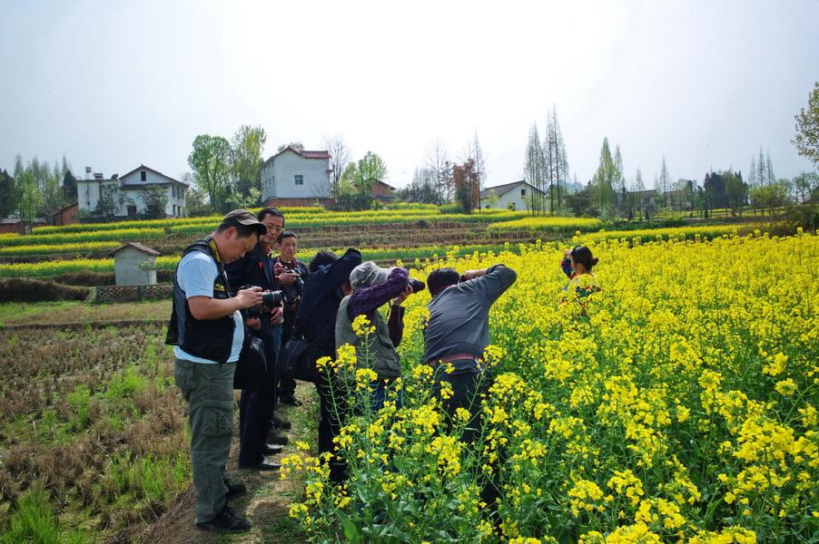 L1005088_调整大小.jpg