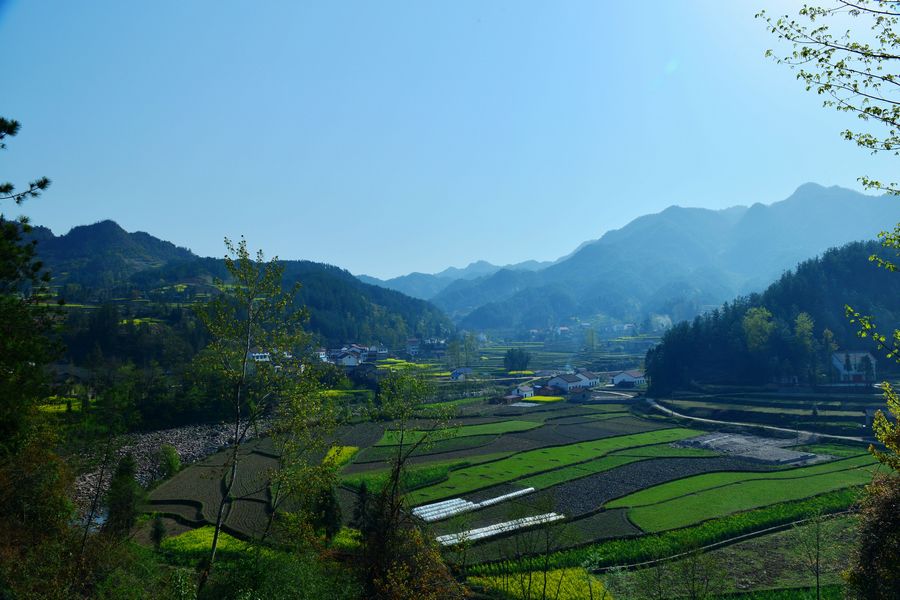 DSC_4798.JPG