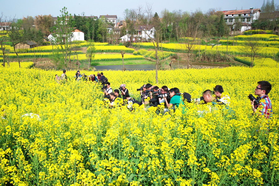 L1005109_调整大小.jpg