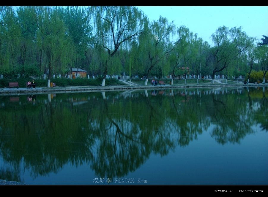 IMGP3228.jpg