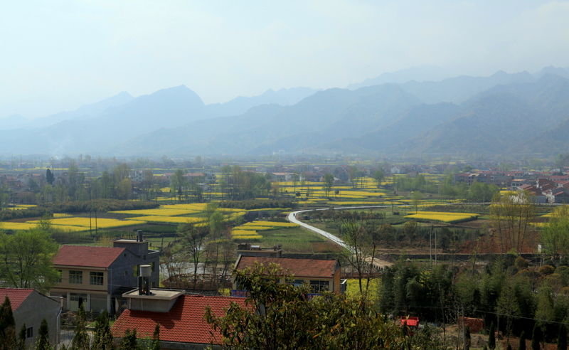IMG_4774.JPG