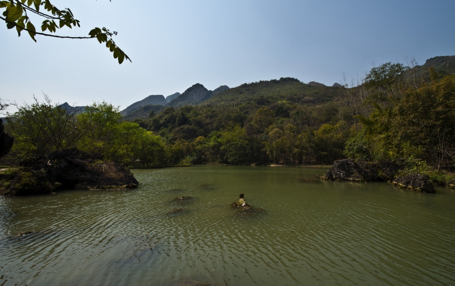 DSC_7818.jpg