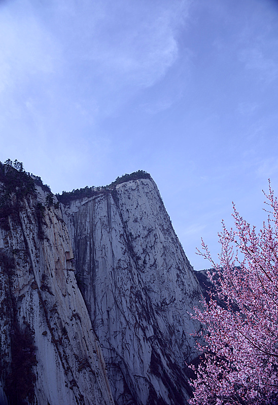 DSC_0788_副本.jpg