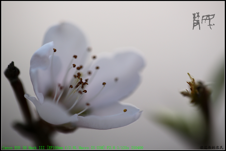 5D3A1323.jpg