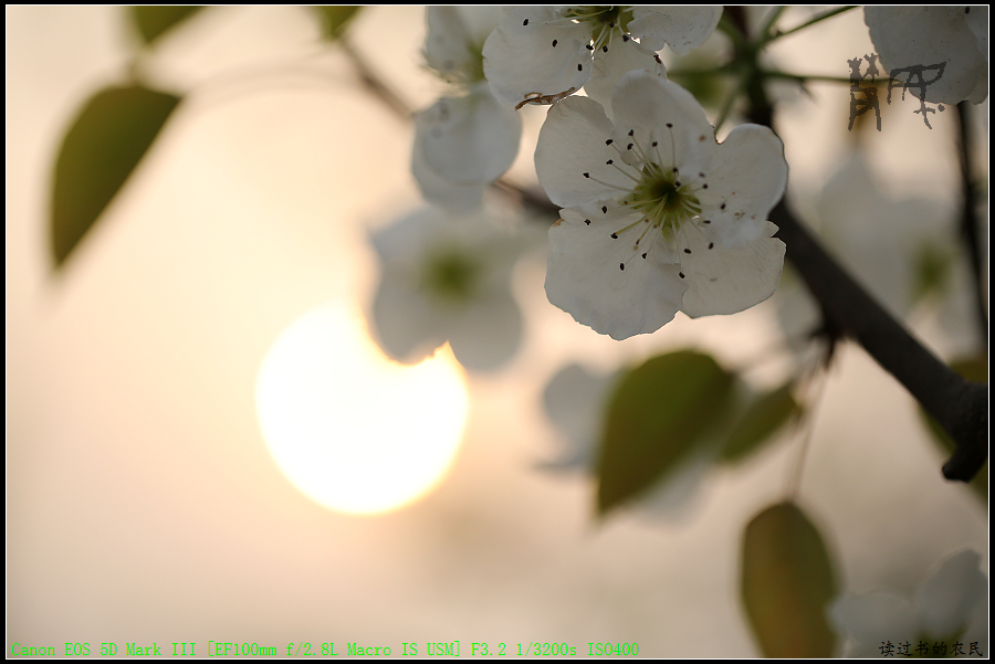5D3A1194.jpg