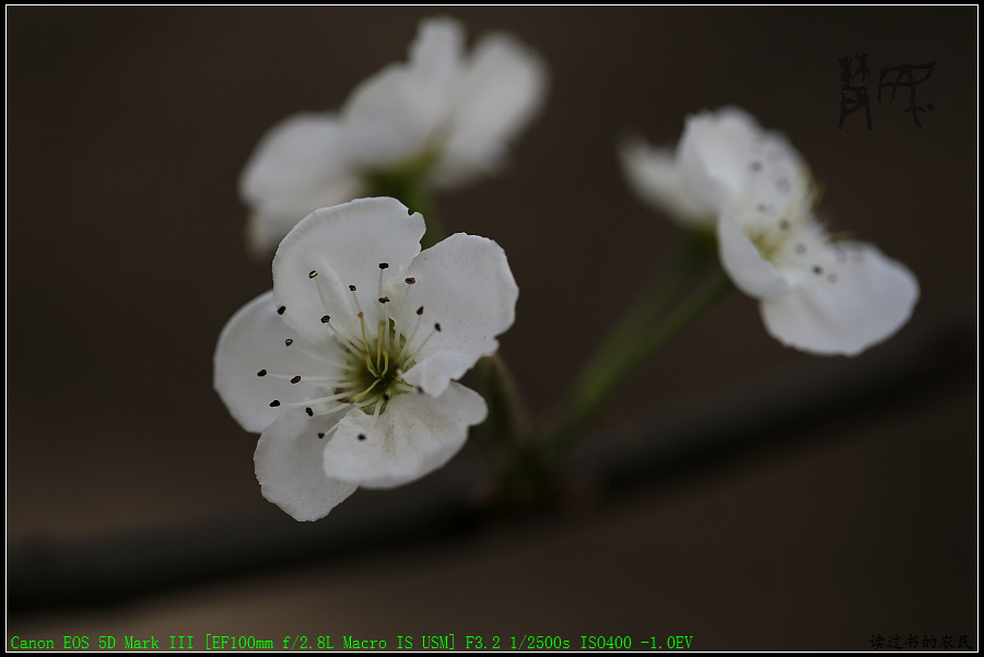 5D3A1233.jpg