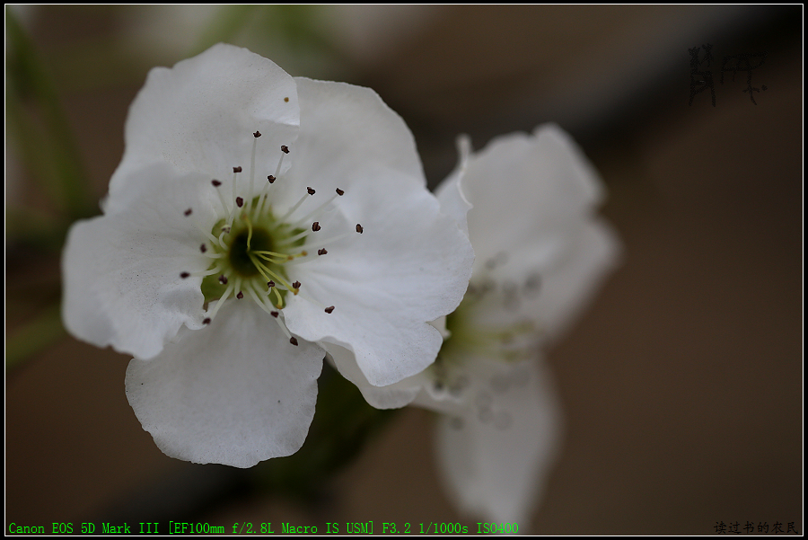 5D3A1246.jpg