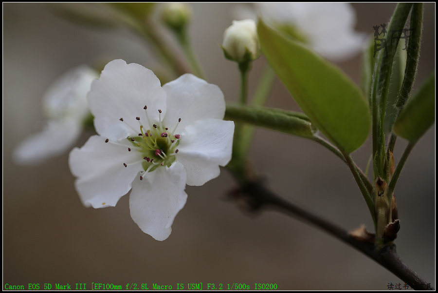 5D3A1257.jpg