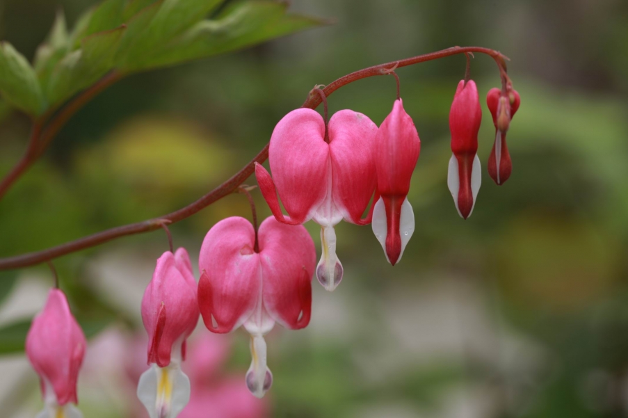 调整大小 IMG_5846.jpg