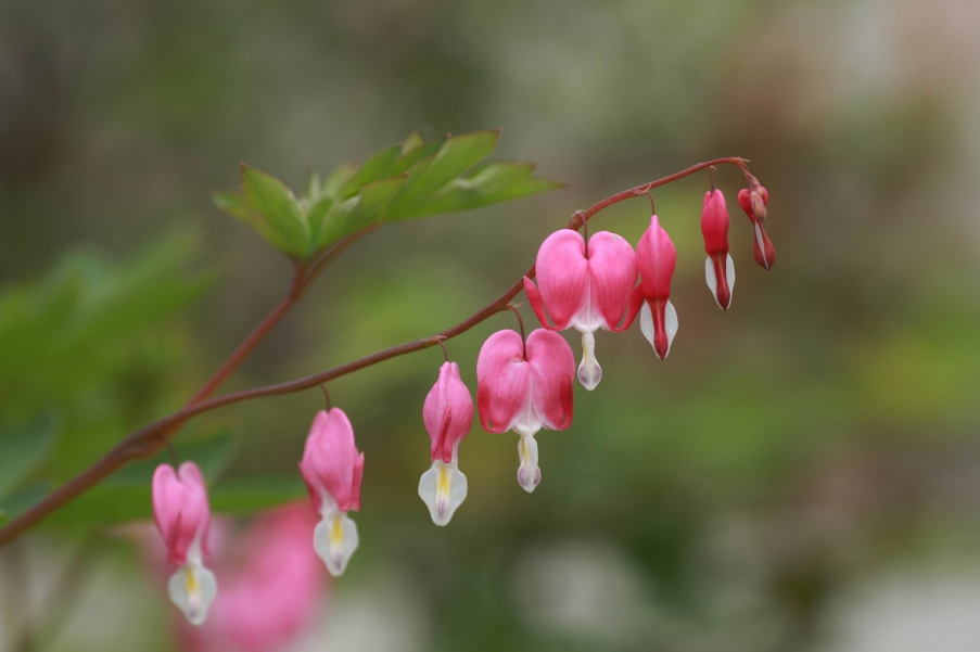 调整大小 IMG_5858.jpg