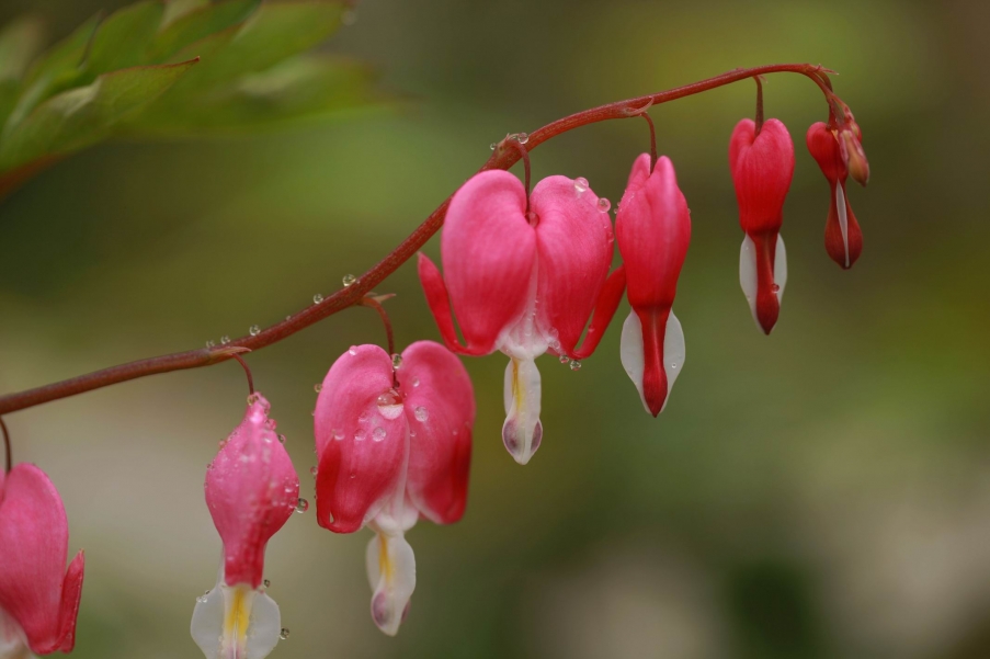 调整大小 IMG_5881z.jpg