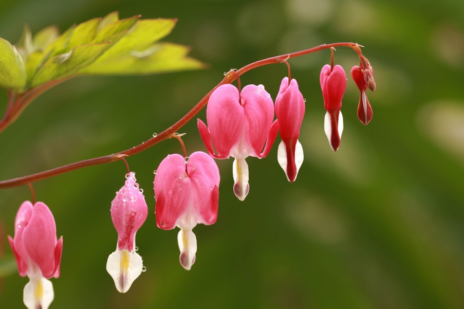 调整大小 IMG_5887.jpg