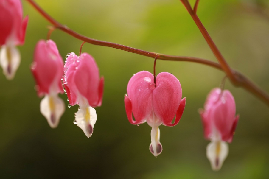 调整大小 IMG_5900.jpg