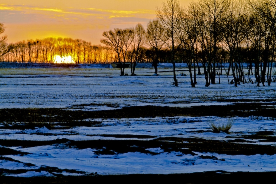 IMG_5585.JPG