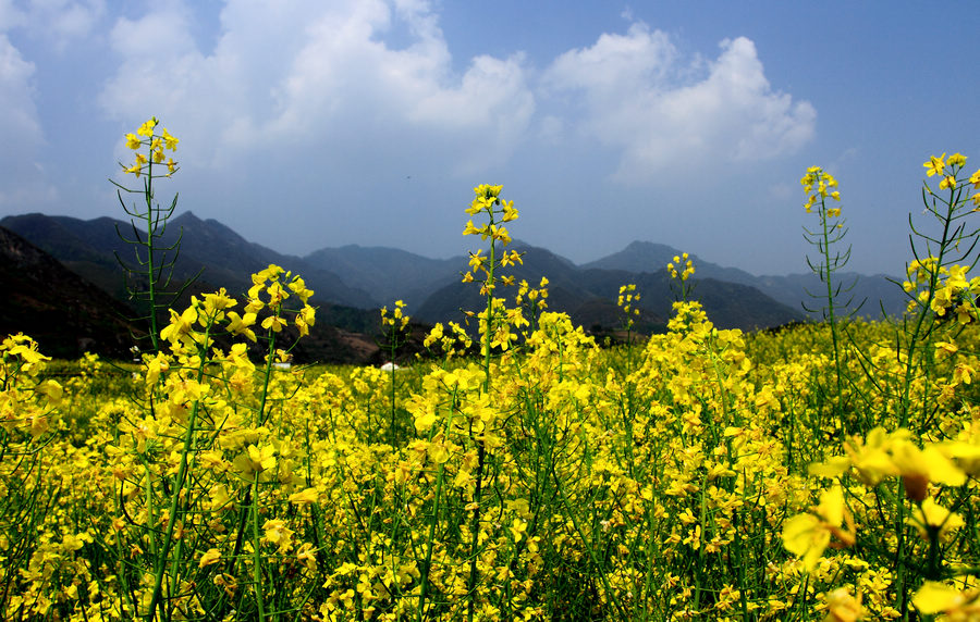汉阴4.JPG