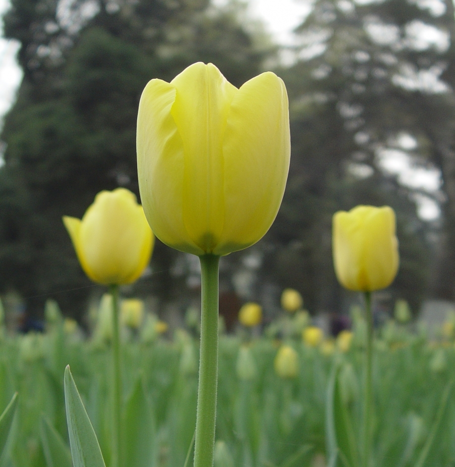 DSC00884.JPG