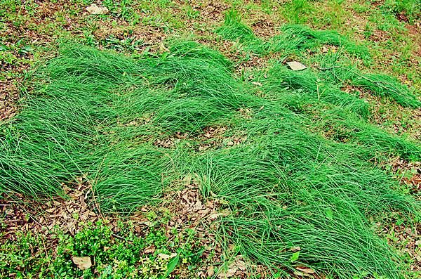 DSC00295_副本_副本_副本.jpg