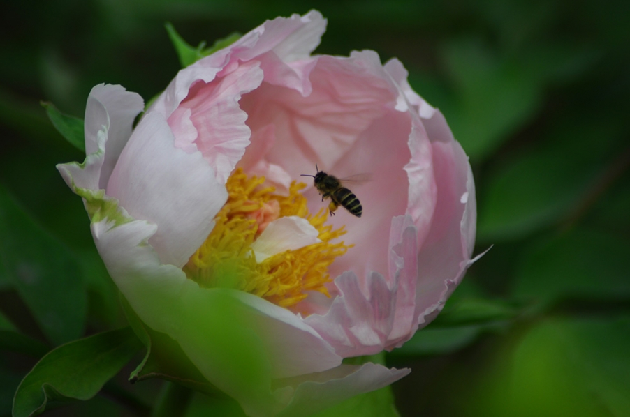 DSC_0024.jpg