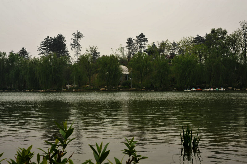 DSC_5943_HZP.jpg