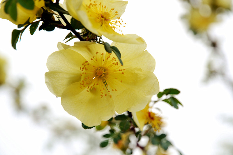 DSC_2587_副本.jpg