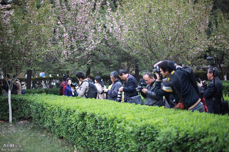 DPP_0022.jpg
