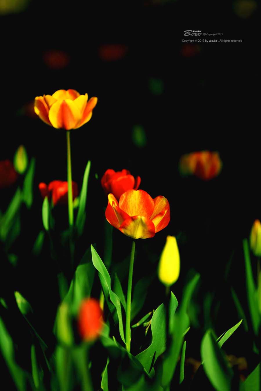 铁一中风景 138 拷贝.jpg