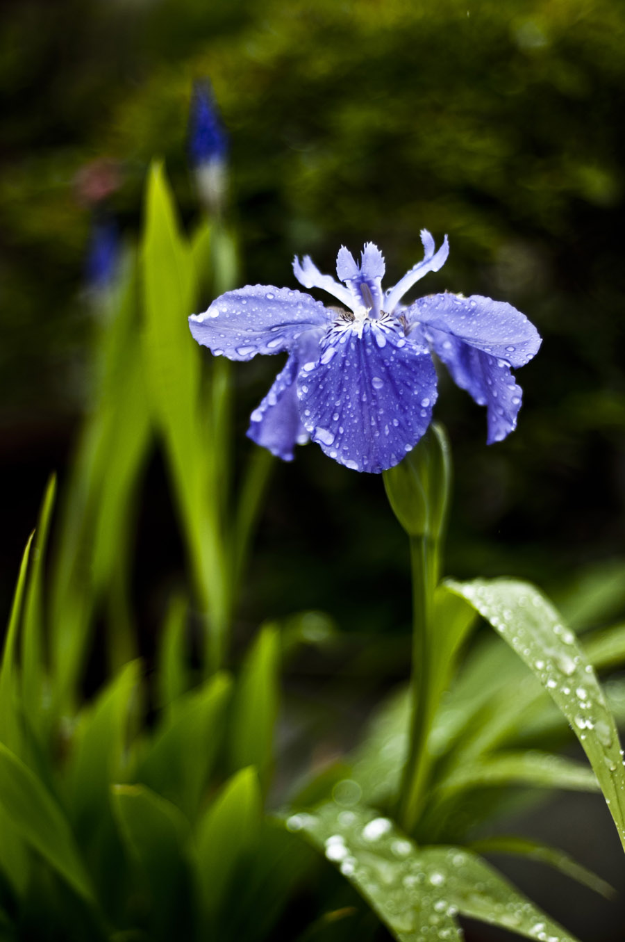 DSC_5761.JPG