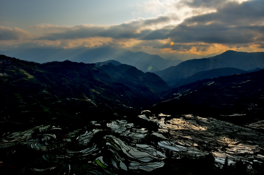 DSC_2548.JPG