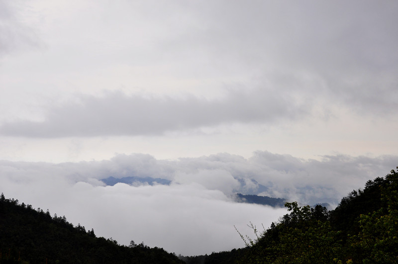 DSC_4095副本_副本.jpg