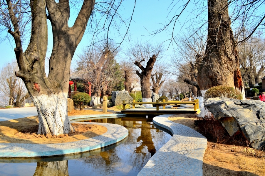 DSC_3480.jpg