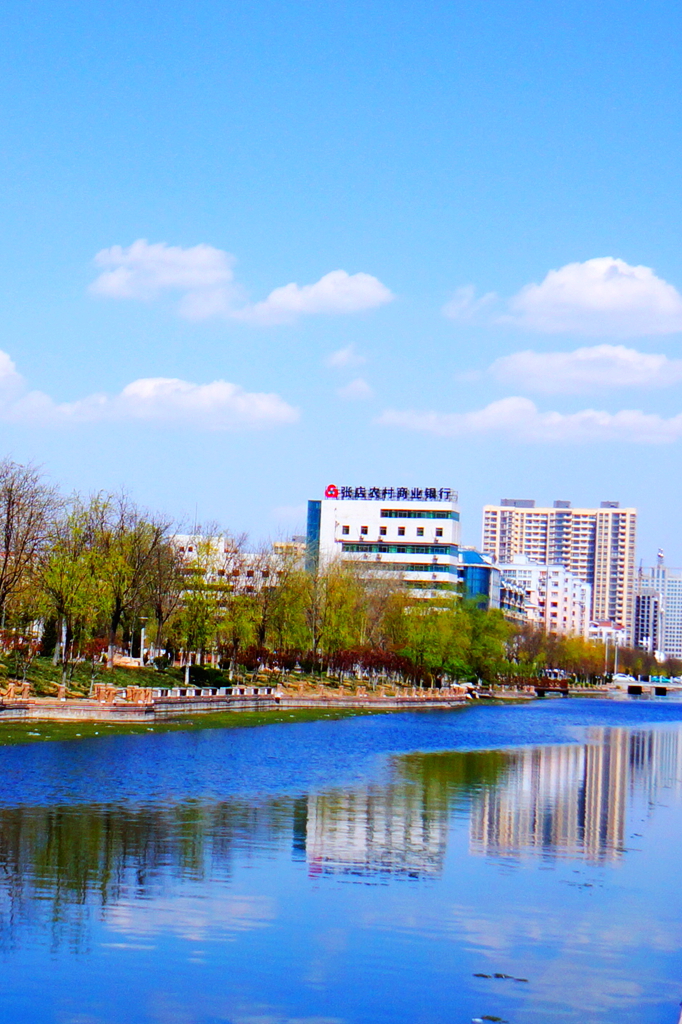 DSC06080.JPG