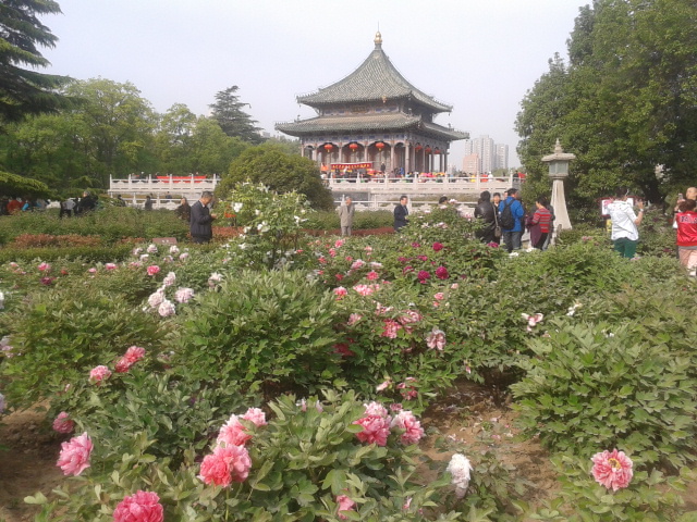 2013-04-13 08.36.43.jpg