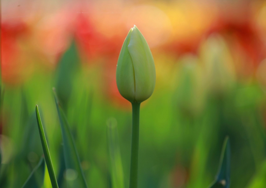 调整大小 IMG_6623d.jpg