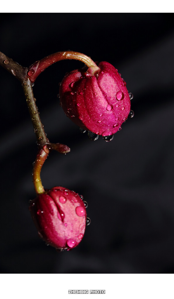 水滴045.jpg