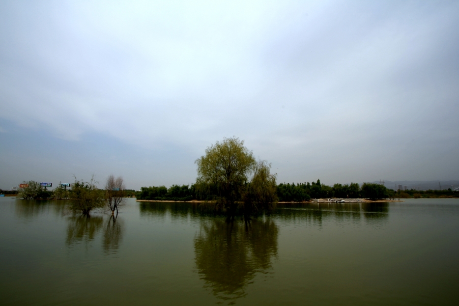 071A7992.JPG