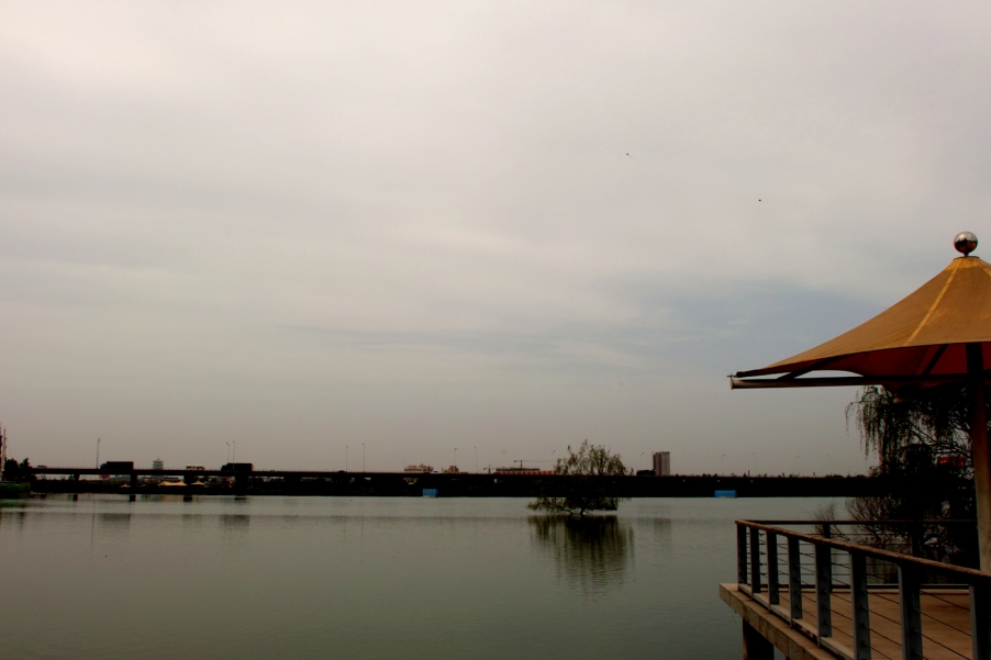 SDIM4598.jpg