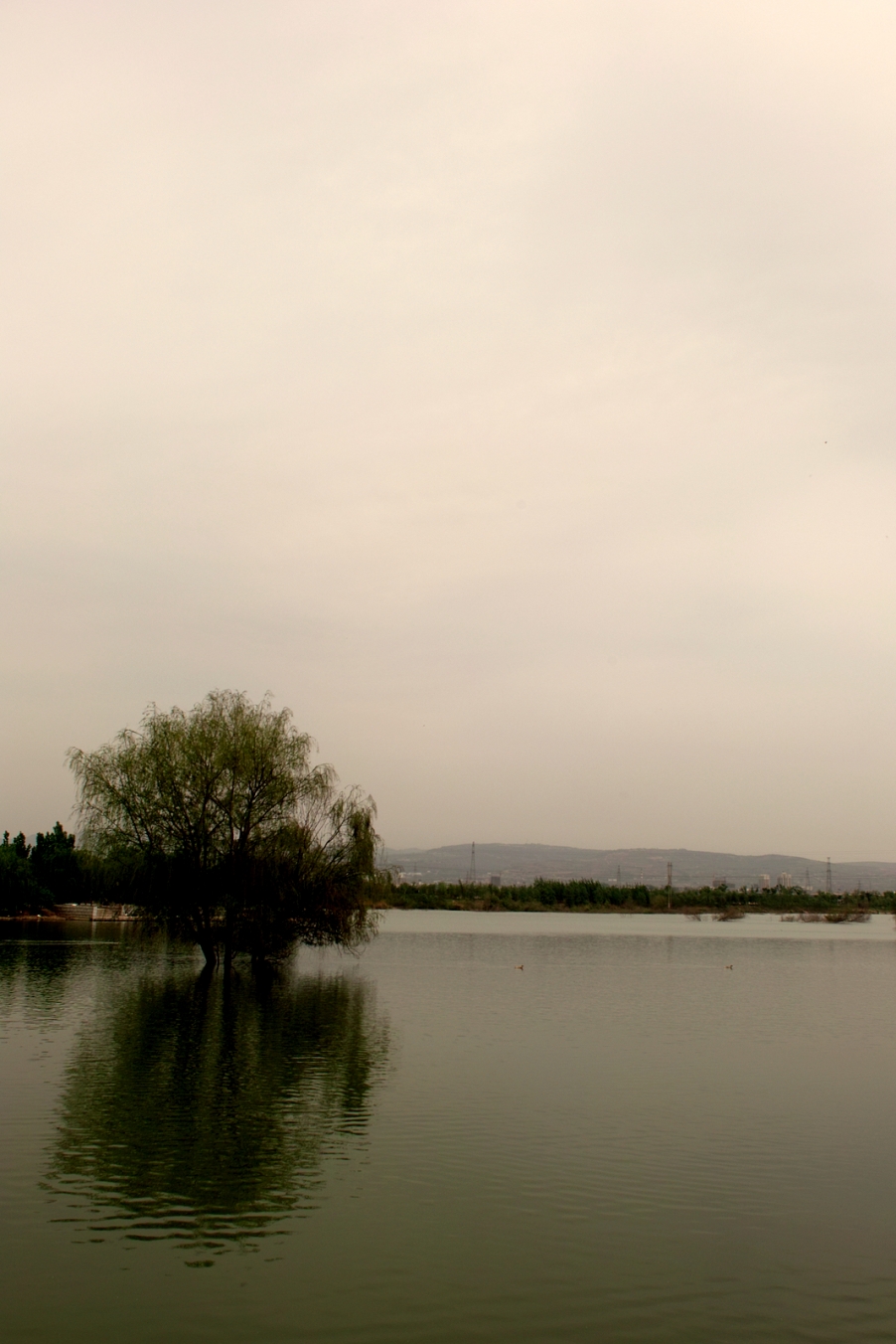 SDIM4614.jpg