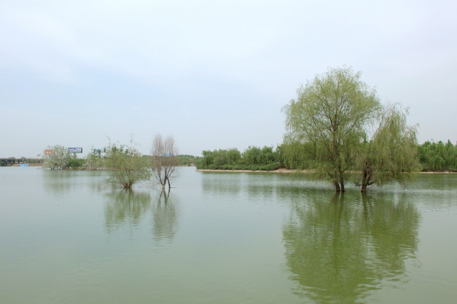 SDIM4644.jpg