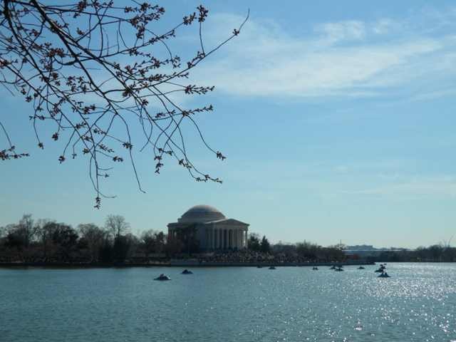 IMG_1106[1].jpg