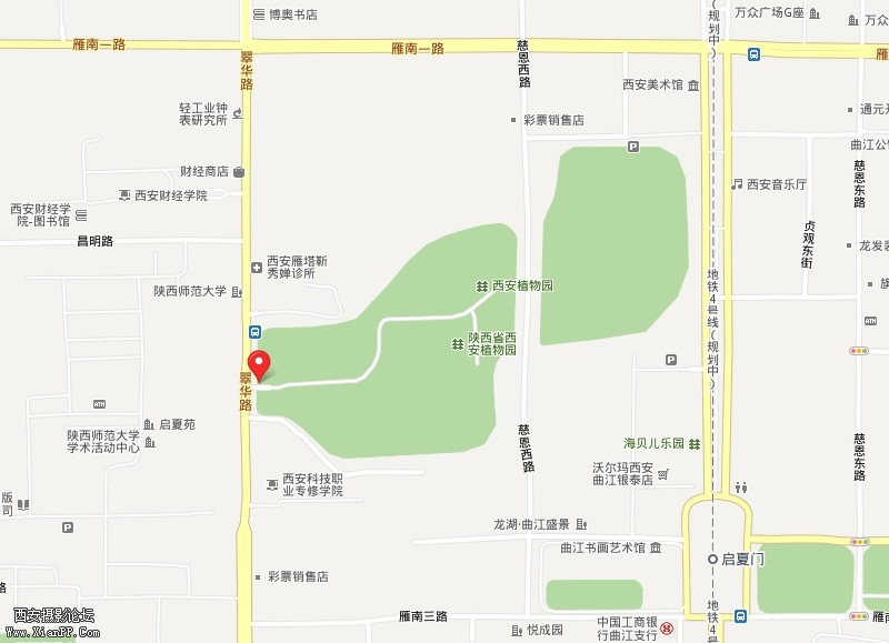 植物园.jpg