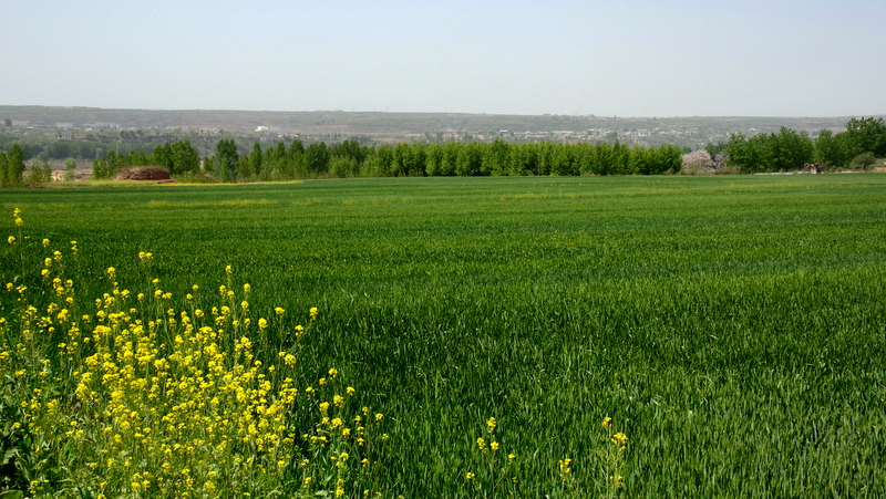 DSC_2989.JPG