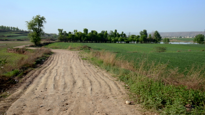 DSC_2996.JPG