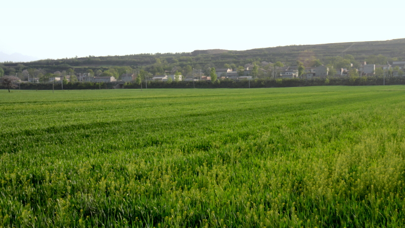 DSC_2998.JPG
