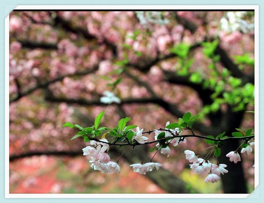 IMG_1447_副本.jpg