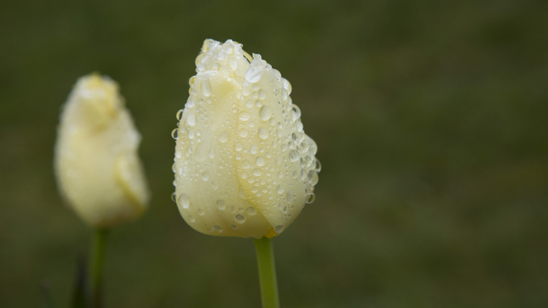 17 背景虚化处.jpg