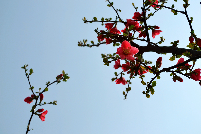 DSC_1903_副本.jpg